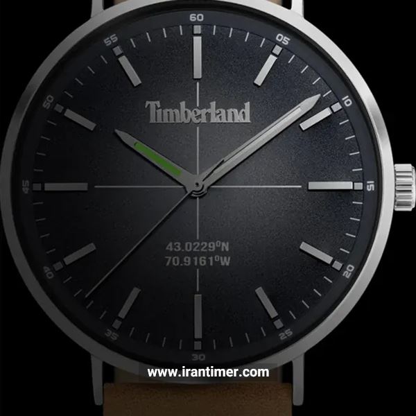 قیمت و خرید ساعت مچی مردانه تیمبرلند(TIMBERLAND) مدل TDWGB2231105 کلاسیک | اورجینال و اصلی