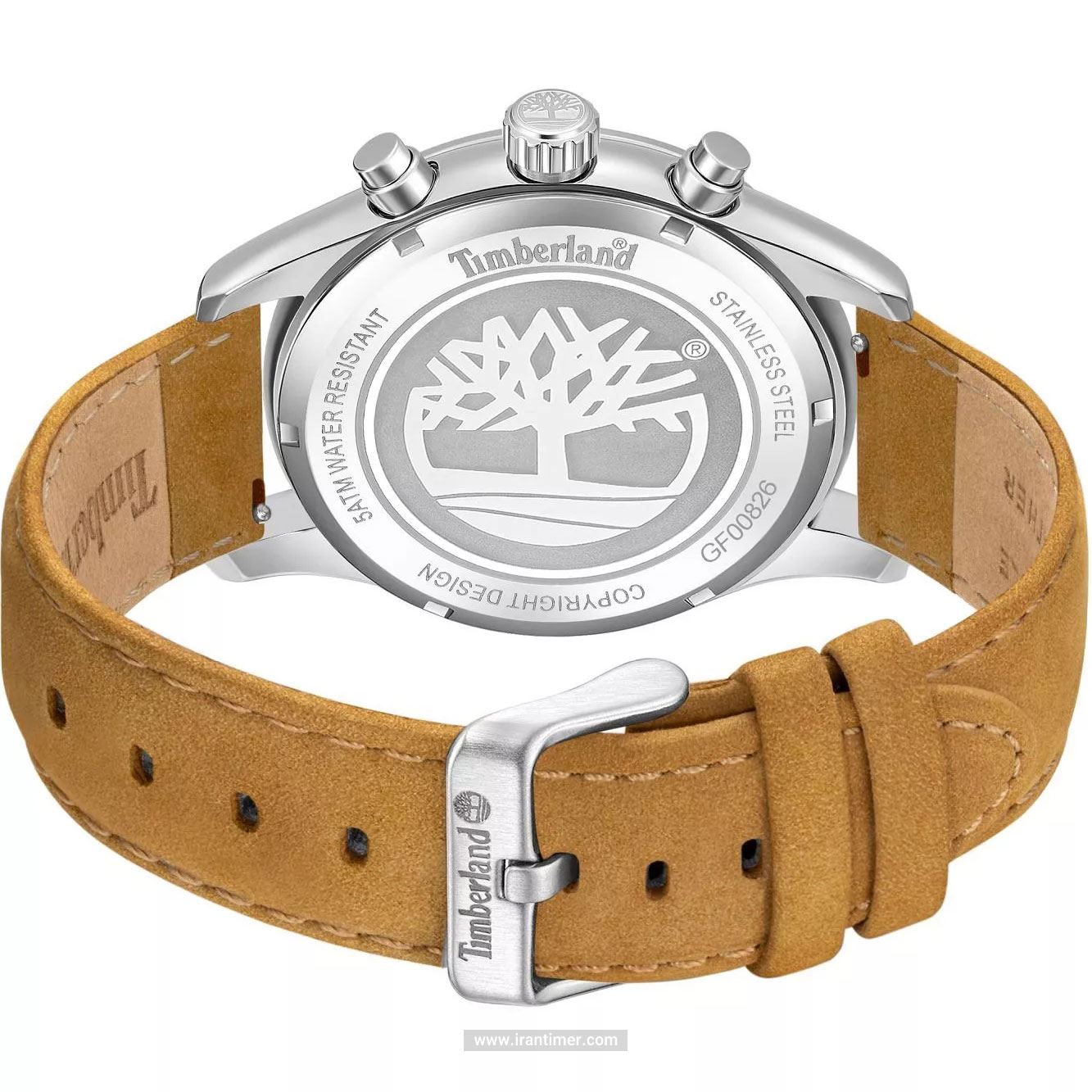 قیمت و خرید ساعت مچی مردانه تیمبرلند(TIMBERLAND) مدل TDWGF0082602 کلاسیک | اورجینال و اصلی