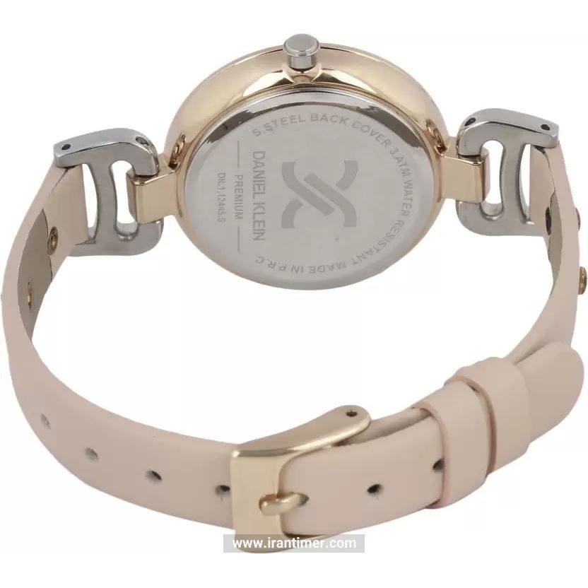قیمت و خرید ساعت مچی زنانه دنیل کلین(Daniel Klein) مدل DK.1.12445-5 کلاسیک | اورجینال و اصلی