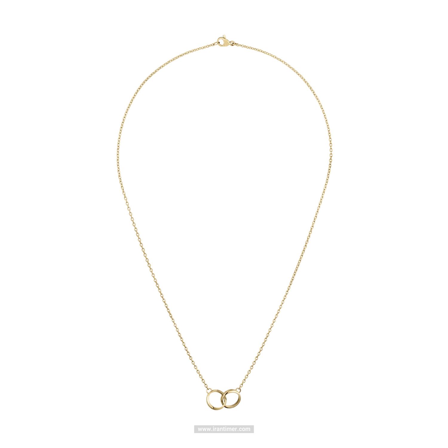 قیمت و خرید گردنبند زنانه دنیل ولینگتون(DANIEL WELLINGTON) مدل DW00400219 کلاسیک | اورجینال و اصلی