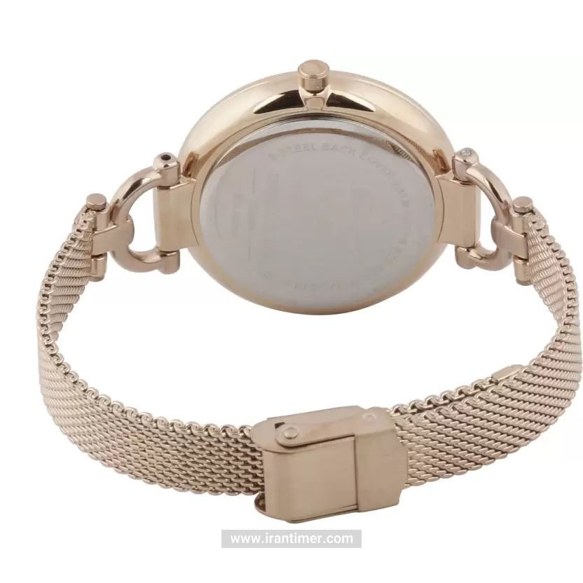 قیمت و خرید ساعت مچی زنانه دنیل کلین(Daniel Klein) مدل DK.1.12416-3 کلاسیک | اورجینال و اصلی