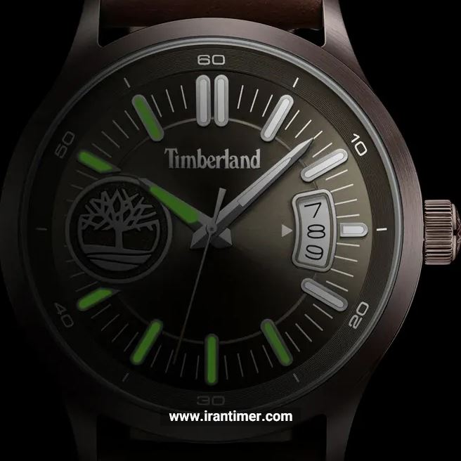 قیمت و خرید ساعت مچی مردانه تیمبرلند(TIMBERLAND) مدل TDWGB0041004 کلاسیک | اورجینال و اصلی