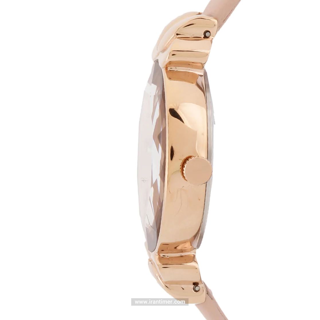 قیمت و خرید ساعت مچی زنانه دنیل کلین(Daniel Klein) مدل DK.1.12553-2 فشن | اورجینال و اصلی