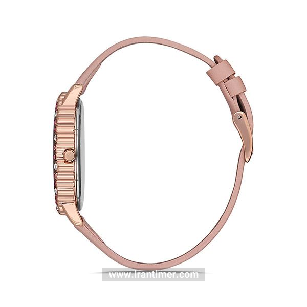 قیمت و خرید ساعت مچی زنانه دنیل کلین(Daniel Klein) مدل DK.1.12525-2 کلاسیک فشن | اورجینال و اصلی