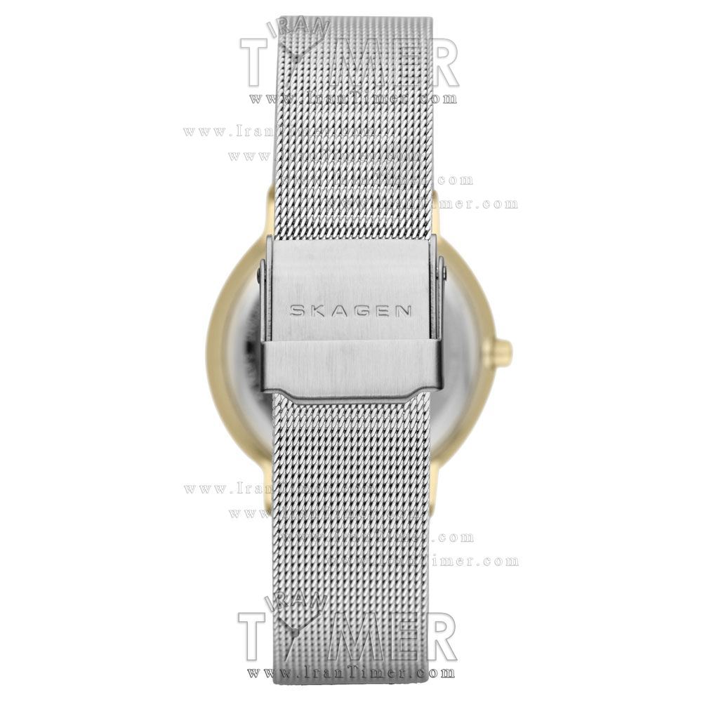 قیمت و خرید ساعت مچی زنانه اسکاگن(SKAGEN) مدل SKW2076 کلاسیک | اورجینال و اصلی