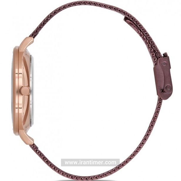 قیمت و خرید ساعت مچی زنانه دنیل کلین(Daniel Klein) مدل DK.1.12524-3 کلاسیک | اورجینال و اصلی