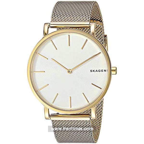 قیمت و خرید ساعت مچی مردانه زنانه اسکاگن(SKAGEN) مدل SKW6443 کلاسیک | اورجینال و اصلی