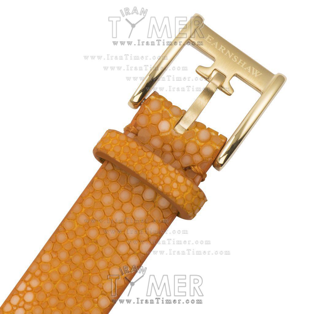 قیمت و خرید ساعت مچی زنانه ارنشا(EARNSHAW) مدل ES-8029-06 کلاسیک | اورجینال و اصلی