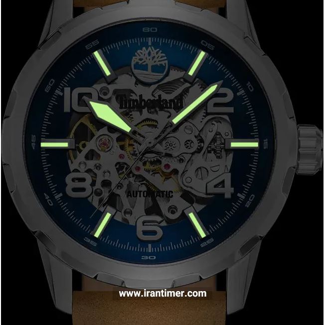 قیمت و خرید ساعت مچی مردانه تیمبرلند(TIMBERLAND) مدل TDWGE0041801 کلاسیک | اورجینال و اصلی