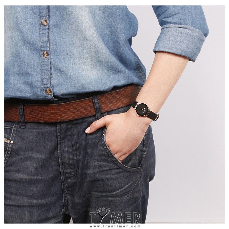 قیمت و خرید ساعت مچی زنانه اسکاگن(SKAGEN) مدل 358SSLB کلاسیک | اورجینال و اصلی