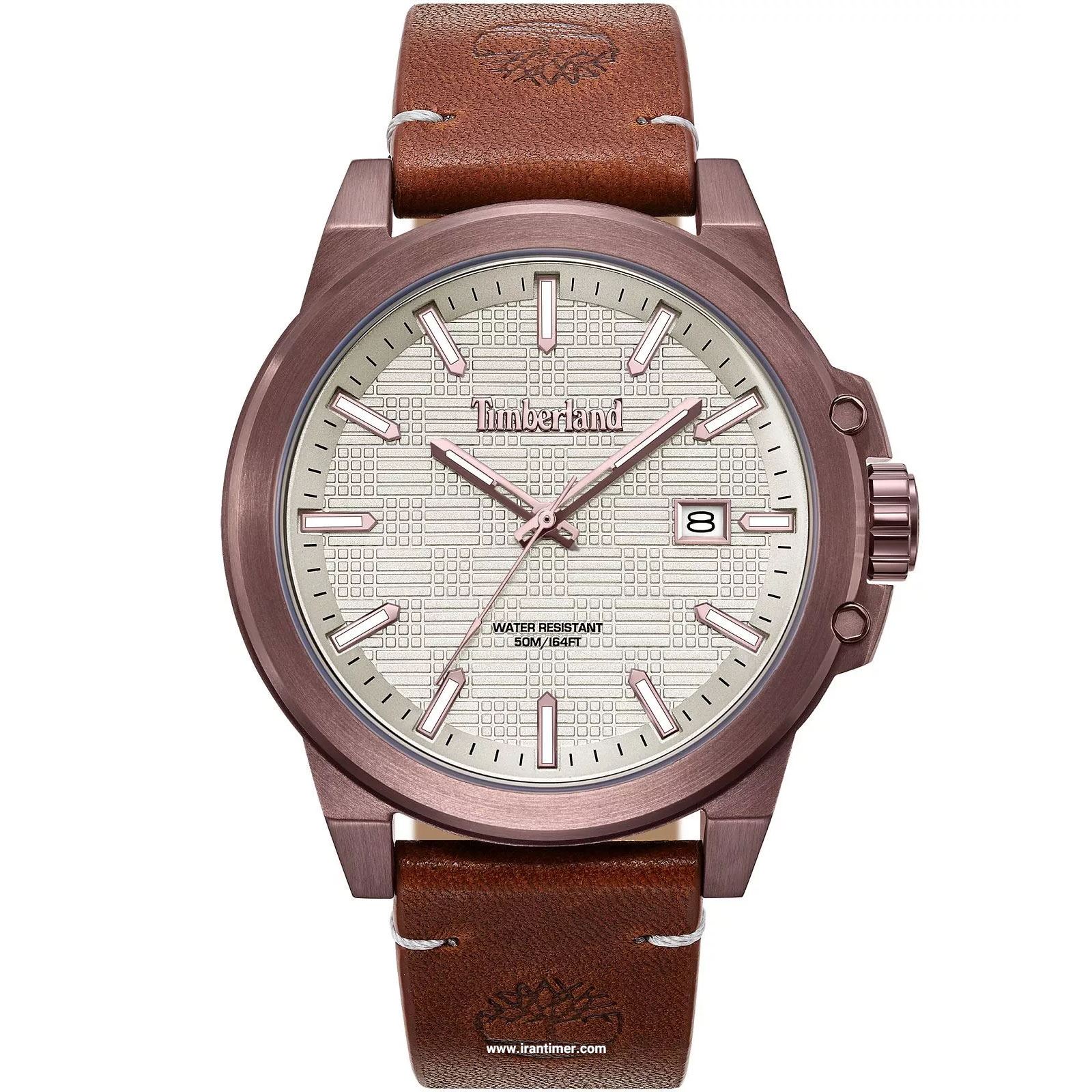 قیمت و خرید ساعت مچی مردانه تیمبرلند(TIMBERLAND) مدل TDWGB0083002 کلاسیک | اورجینال و اصلی
