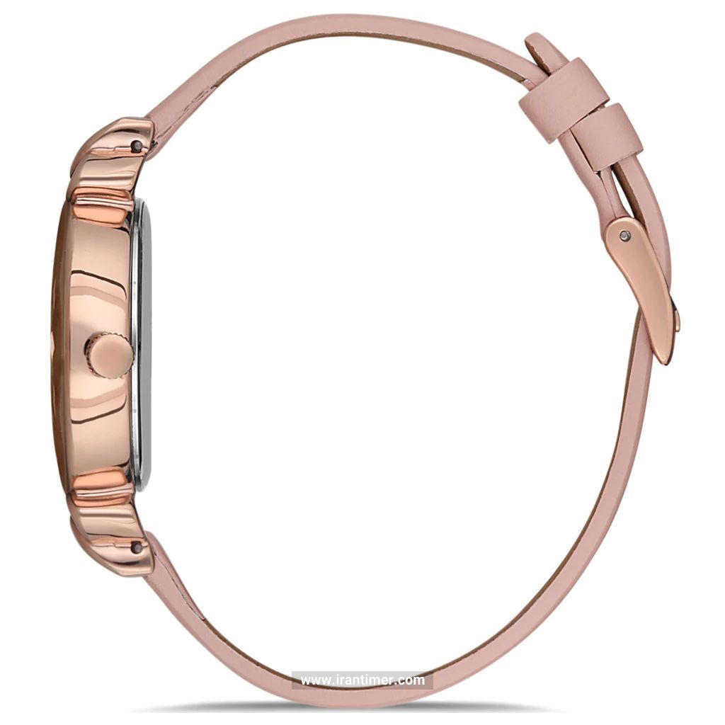 قیمت و خرید ساعت مچی زنانه دنیل کلین(Daniel Klein) مدل DK.1.12553-2 فشن | اورجینال و اصلی