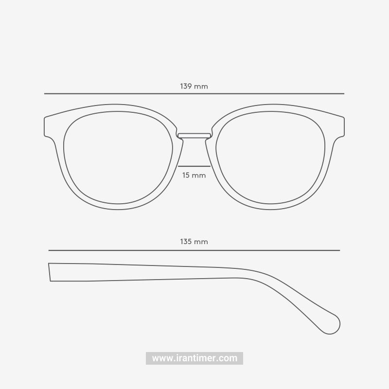 قیمت و خرید عینک آفتابی زنانه مردانه کلاسیک (TRIWA) مدل Crystal Nicki 165 | اورجینال و اصلی