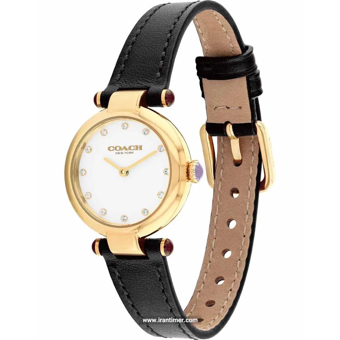 قیمت و خرید ساعت مچی زنانه کوچ(Coach) مدل 14504014 فشن | اورجینال و اصلی