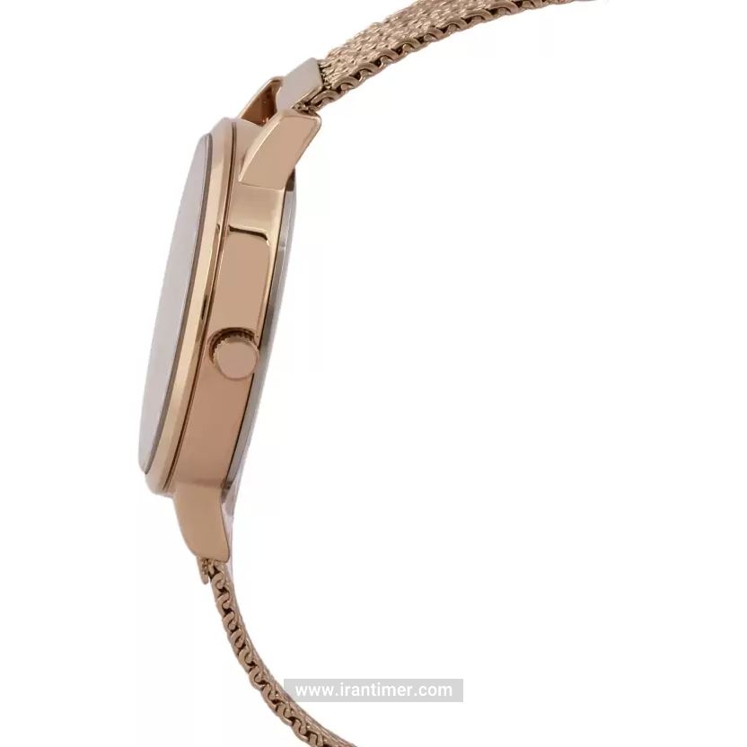 قیمت و خرید ساعت مچی زنانه دنیل کلین(Daniel Klein) مدل DK.1.12405-4 کلاسیک | اورجینال و اصلی