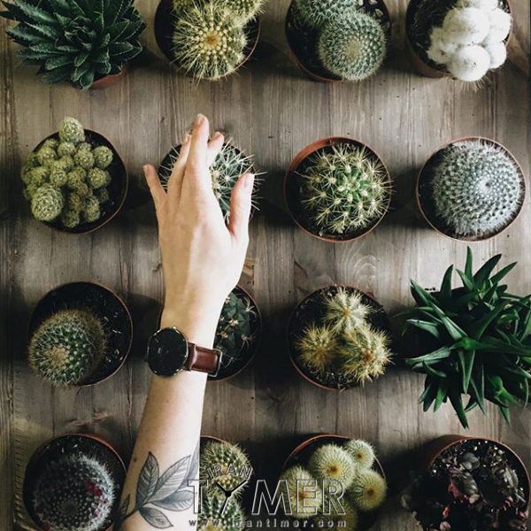 قیمت و خرید ساعت مچی مردانه زنانه دنیل ولینگتون(DANIEL WELLINGTON) مدل DW00100143 کلاسیک | اورجینال و اصلی