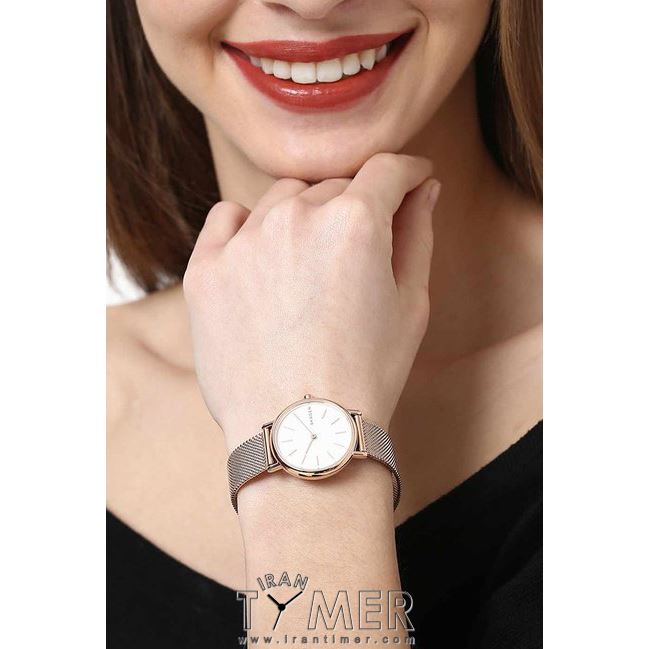قیمت و خرید ساعت مچی زنانه اسکاگن(SKAGEN) مدل SKW2694 کلاسیک | اورجینال و اصلی