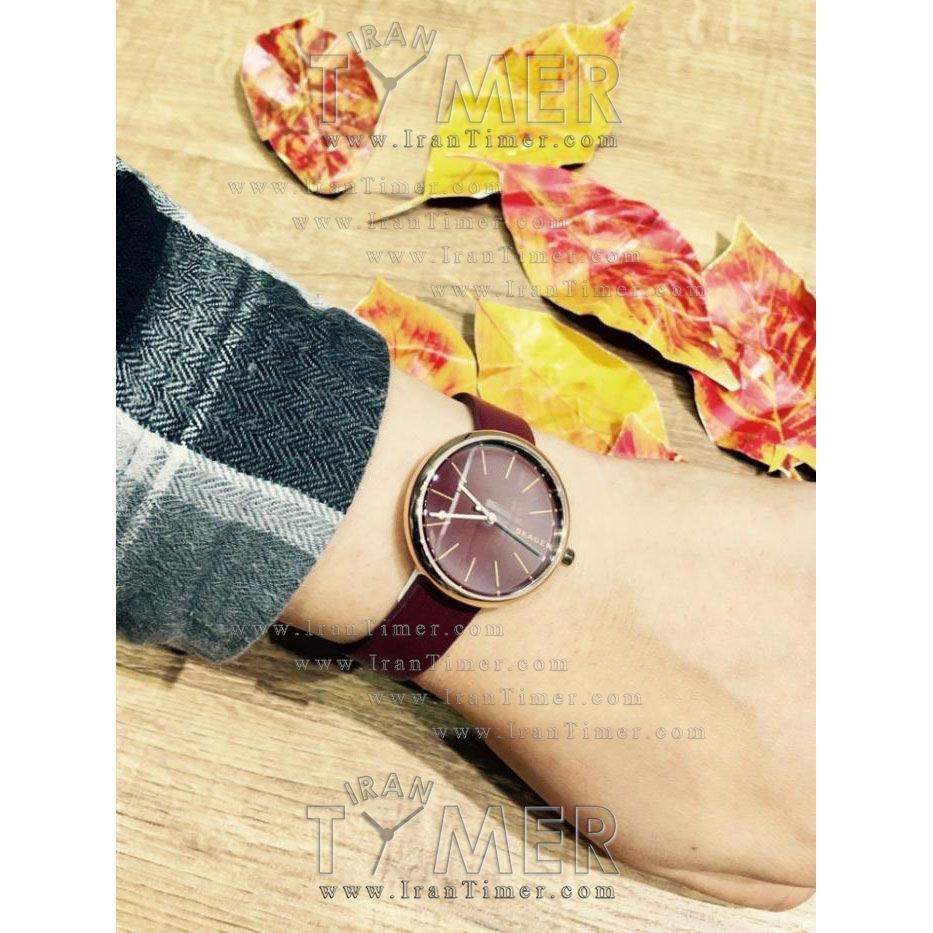 قیمت و خرید ساعت مچی زنانه اسکاگن(SKAGEN) مدل SKW2646 کلاسیک | اورجینال و اصلی