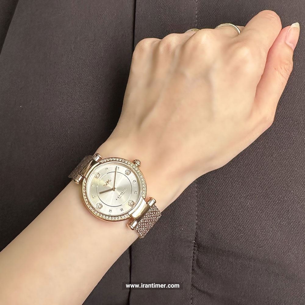 قیمت و خرید ساعت مچی زنانه کوچ(Coach) مدل 14503996 فشن | اورجینال و اصلی