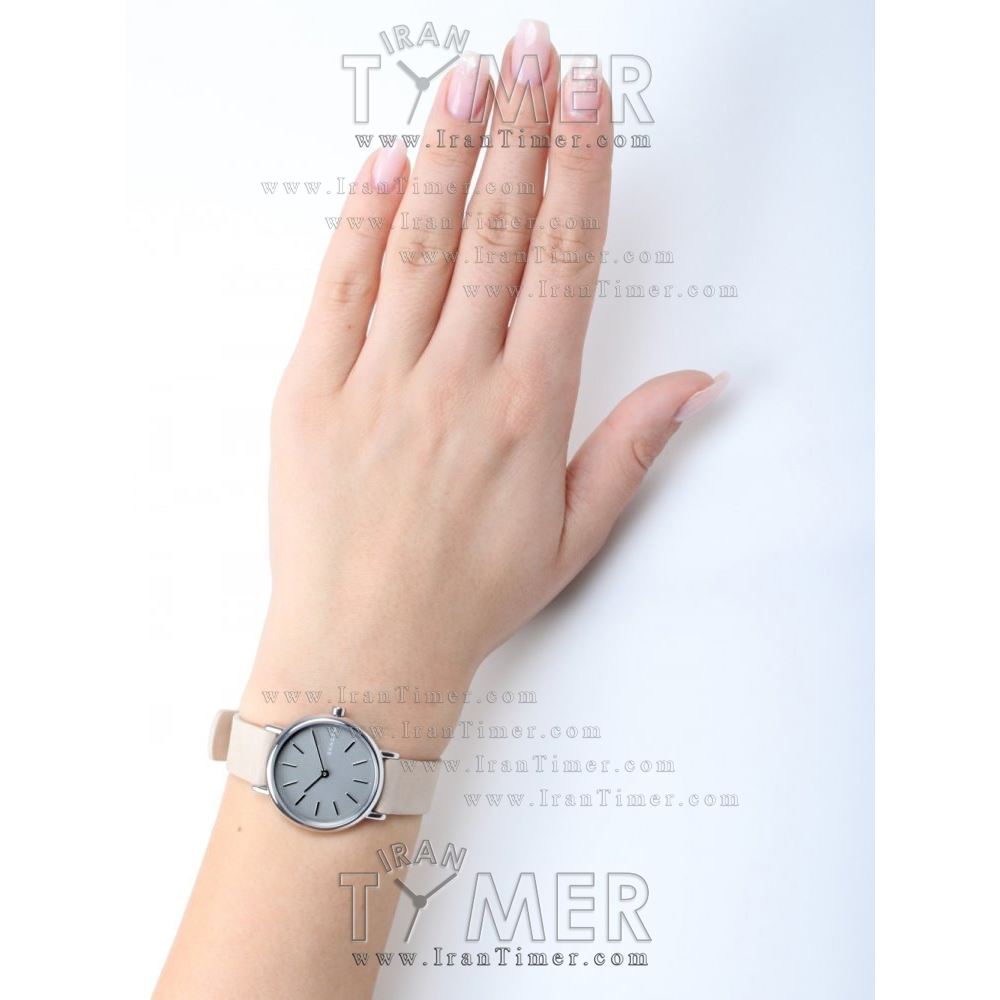 قیمت و خرید ساعت مچی زنانه اسکاگن(SKAGEN) مدل SKW2696 کلاسیک | اورجینال و اصلی
