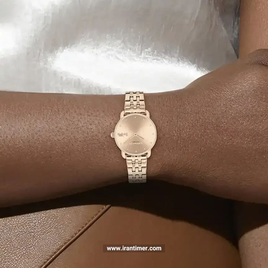 قیمت و خرید ساعت مچی زنانه کوچ(Coach) مدل 14504303 کلاسیک | اورجینال و اصلی