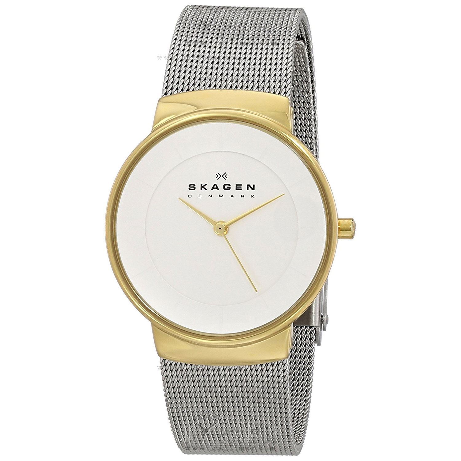 قیمت و خرید ساعت مچی زنانه اسکاگن(SKAGEN) مدل SKW2076 کلاسیک | اورجینال و اصلی