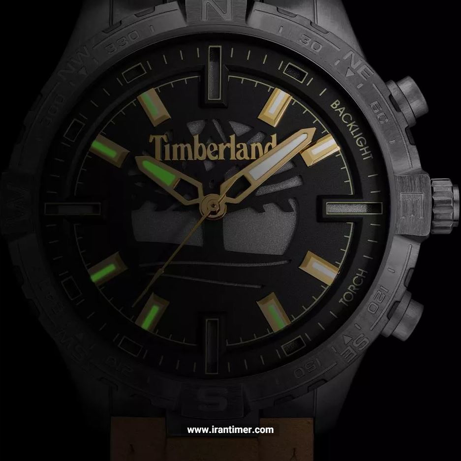 قیمت و خرید ساعت مچی مردانه تیمبرلند(TIMBERLAND) مدل TDWGD0031101 کلاسیک | اورجینال و اصلی