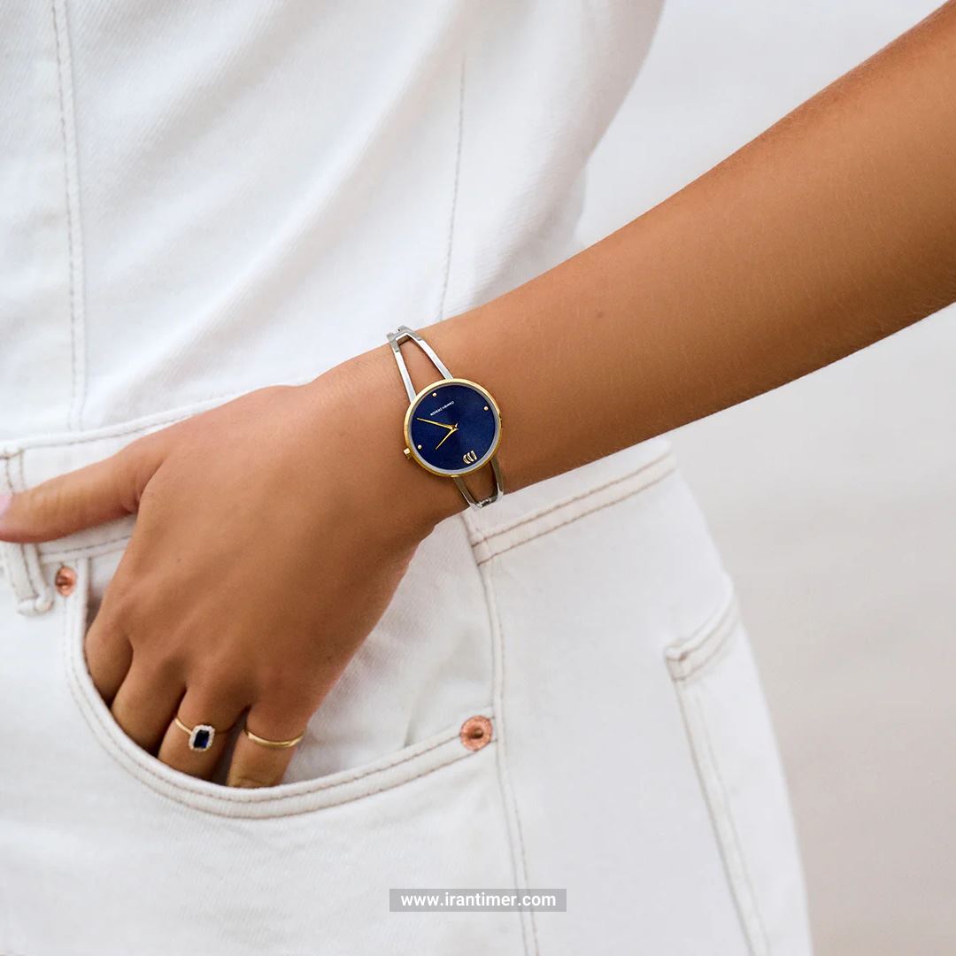قیمت و خرید ساعت مچی زنانه دنیش دیزاین(Danish Design) مدل IV73Q1230 کلاسیک | اورجینال و اصلی