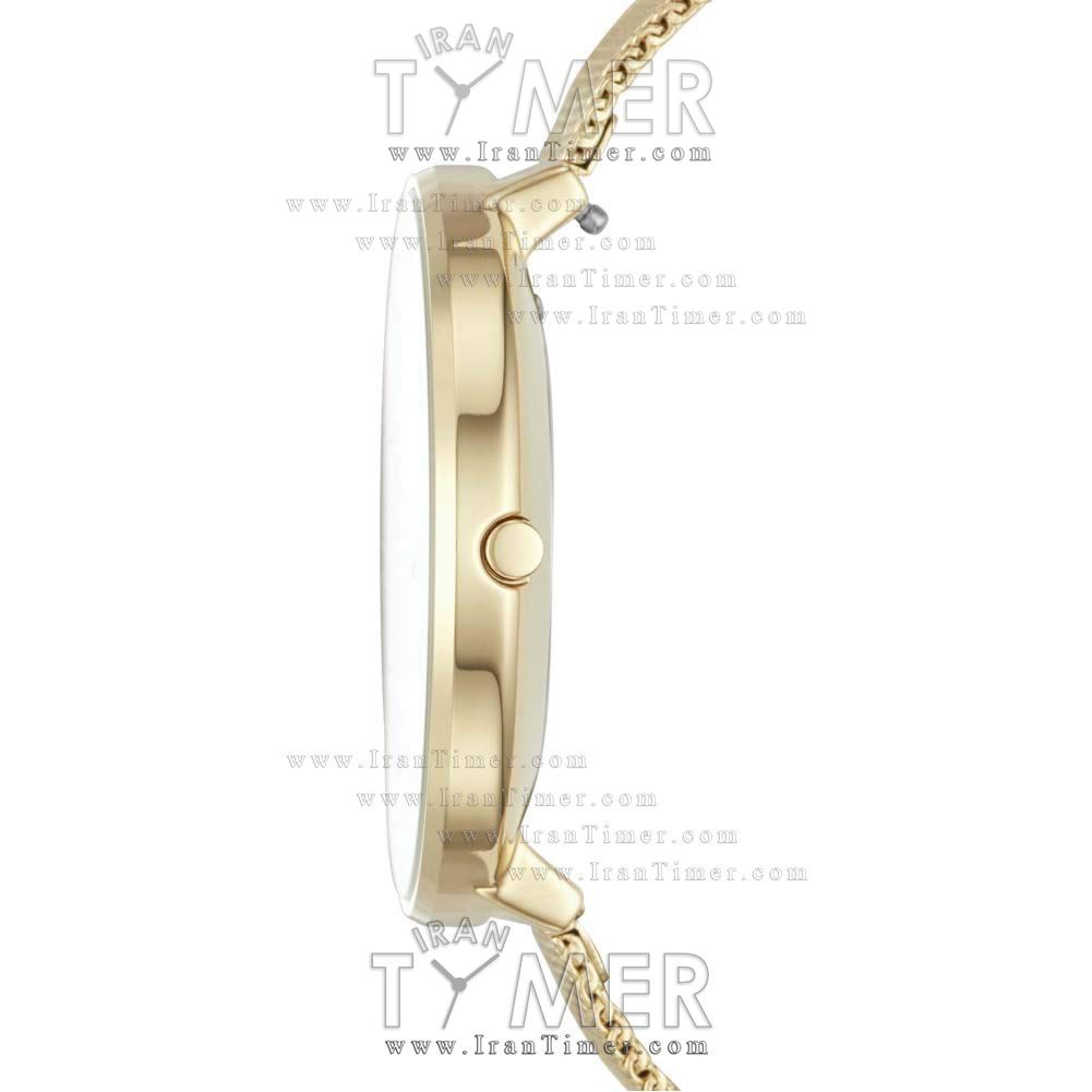 قیمت و خرید ساعت مچی زنانه اسکاگن(SKAGEN) مدل SKW1104 کلاسیک | اورجینال و اصلی