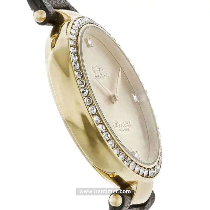 قیمت و خرید ساعت مچی زنانه کوچ(Coach) مدل 14503456 فشن | اورجینال و اصلی