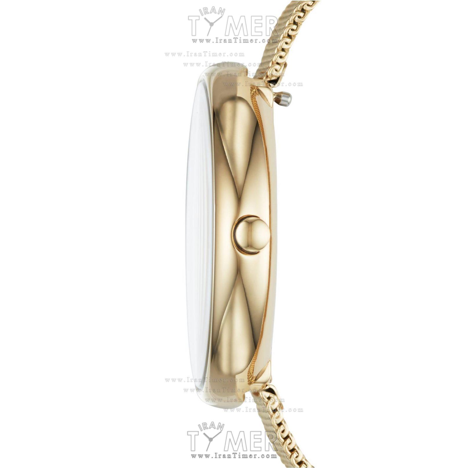 قیمت و خرید ساعت مچی زنانه اسکاگن(SKAGEN) مدل SKW2625 کلاسیک | اورجینال و اصلی