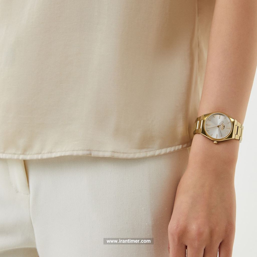 قیمت و خرید ساعت مچی زنانه اسلازنجر(SLAZENGER) مدل SL.09.2116.3.05 کلاسیک | اورجینال و اصلی