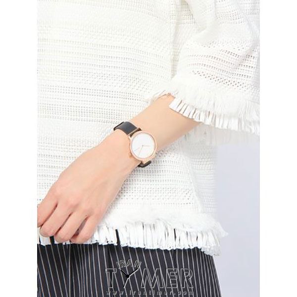 قیمت و خرید ساعت مچی زنانه اسکاگن(SKAGEN) مدل SKW2608 کلاسیک | اورجینال و اصلی