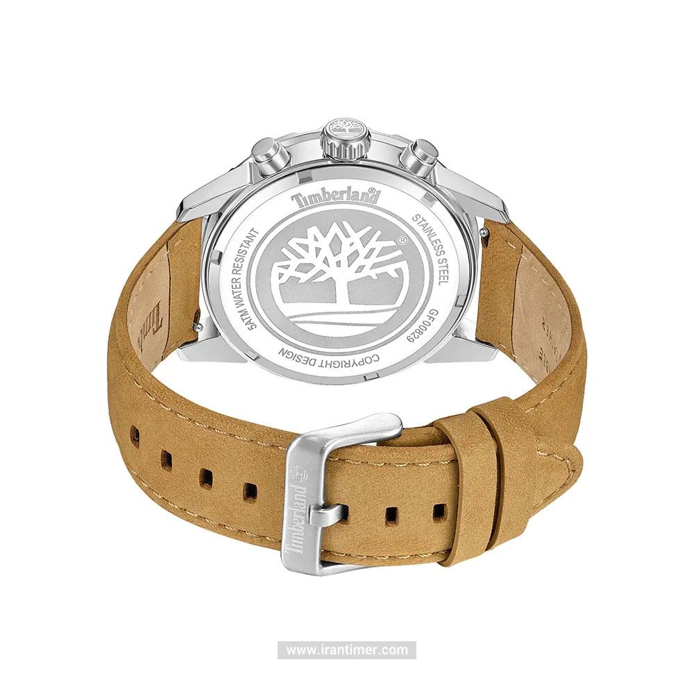قیمت و خرید ساعت مچی مردانه تیمبرلند(TIMBERLAND) مدل TDWGF0082902 کلاسیک | اورجینال و اصلی