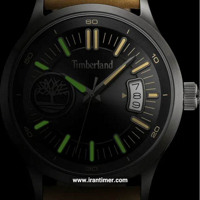 قیمت و خرید ساعت مچی مردانه تیمبرلند(TIMBERLAND) مدل TDWGB0041006 کلاسیک | اورجینال و اصلی