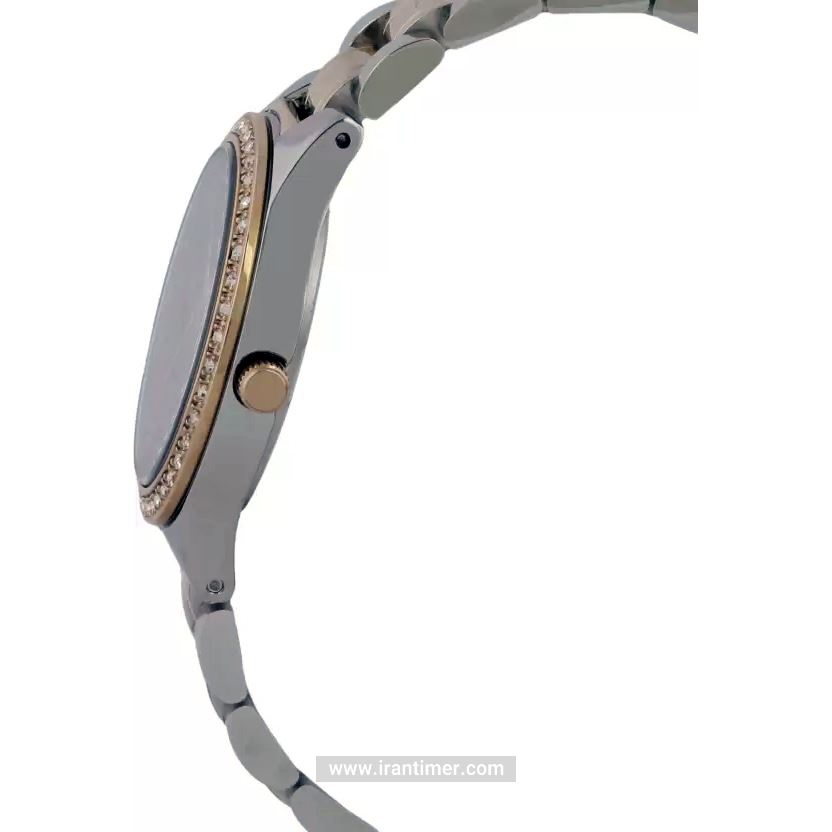 قیمت و خرید ساعت مچی زنانه دنیل کلین(Daniel Klein) مدل DK.1.12407-6 کلاسیک | اورجینال و اصلی