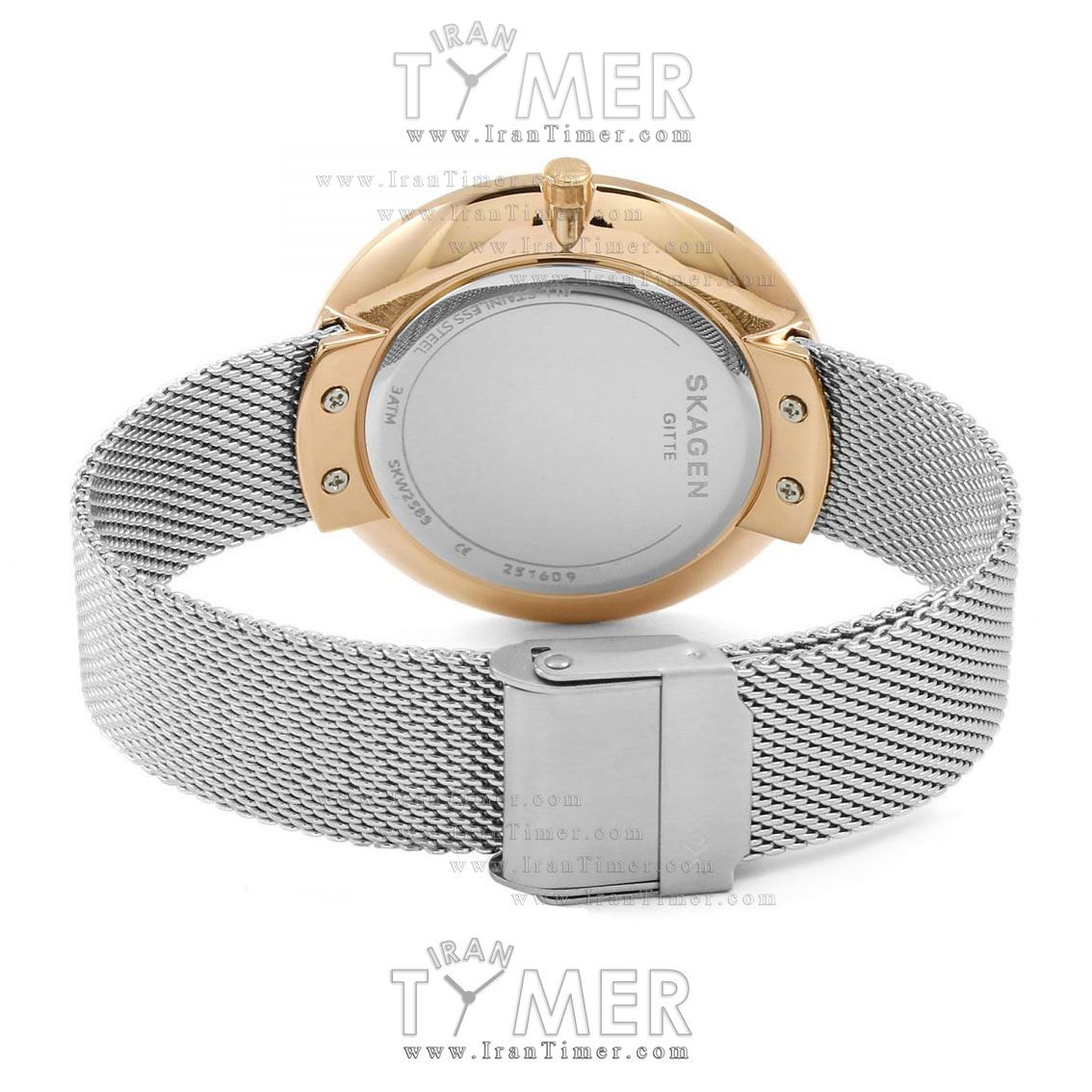 قیمت و خرید ساعت مچی زنانه اسکاگن(SKAGEN) مدل SKW2583 کلاسیک | اورجینال و اصلی