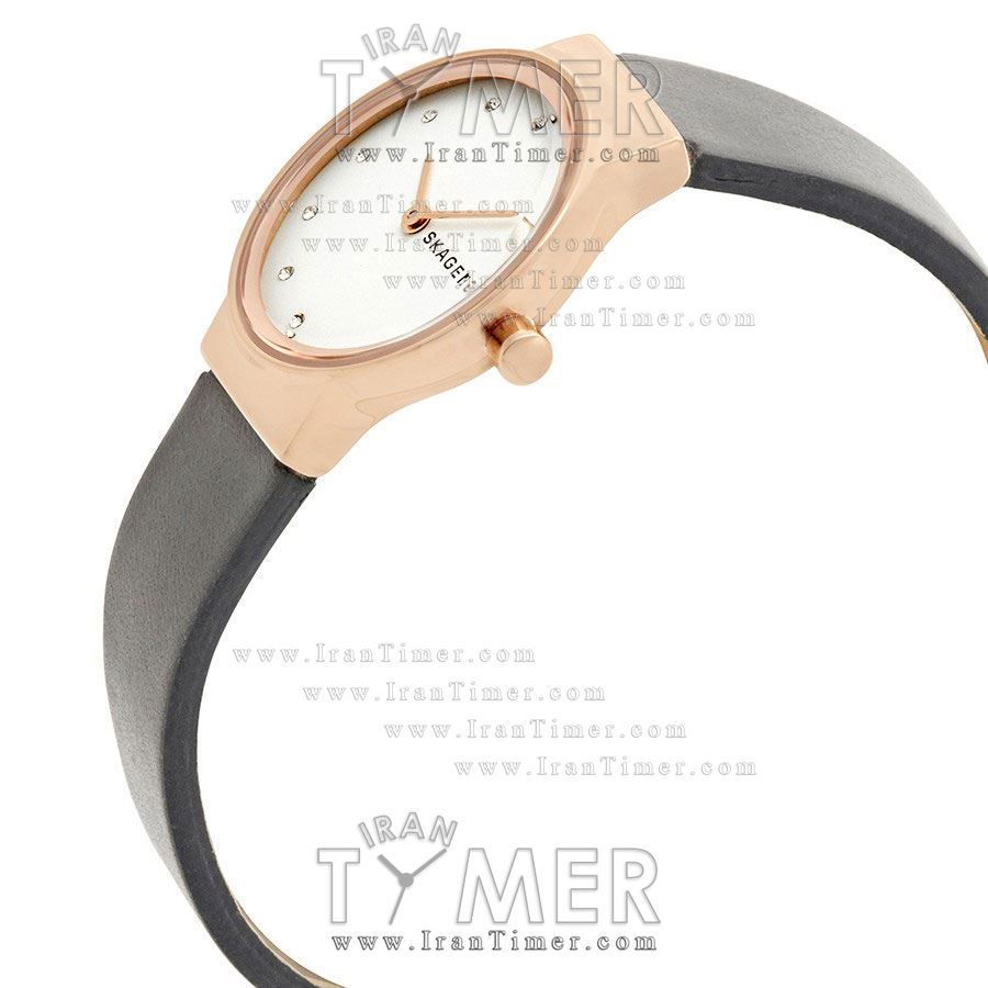 قیمت و خرید ساعت مچی زنانه اسکاگن(SKAGEN) مدل SKW2669 کلاسیک | اورجینال و اصلی