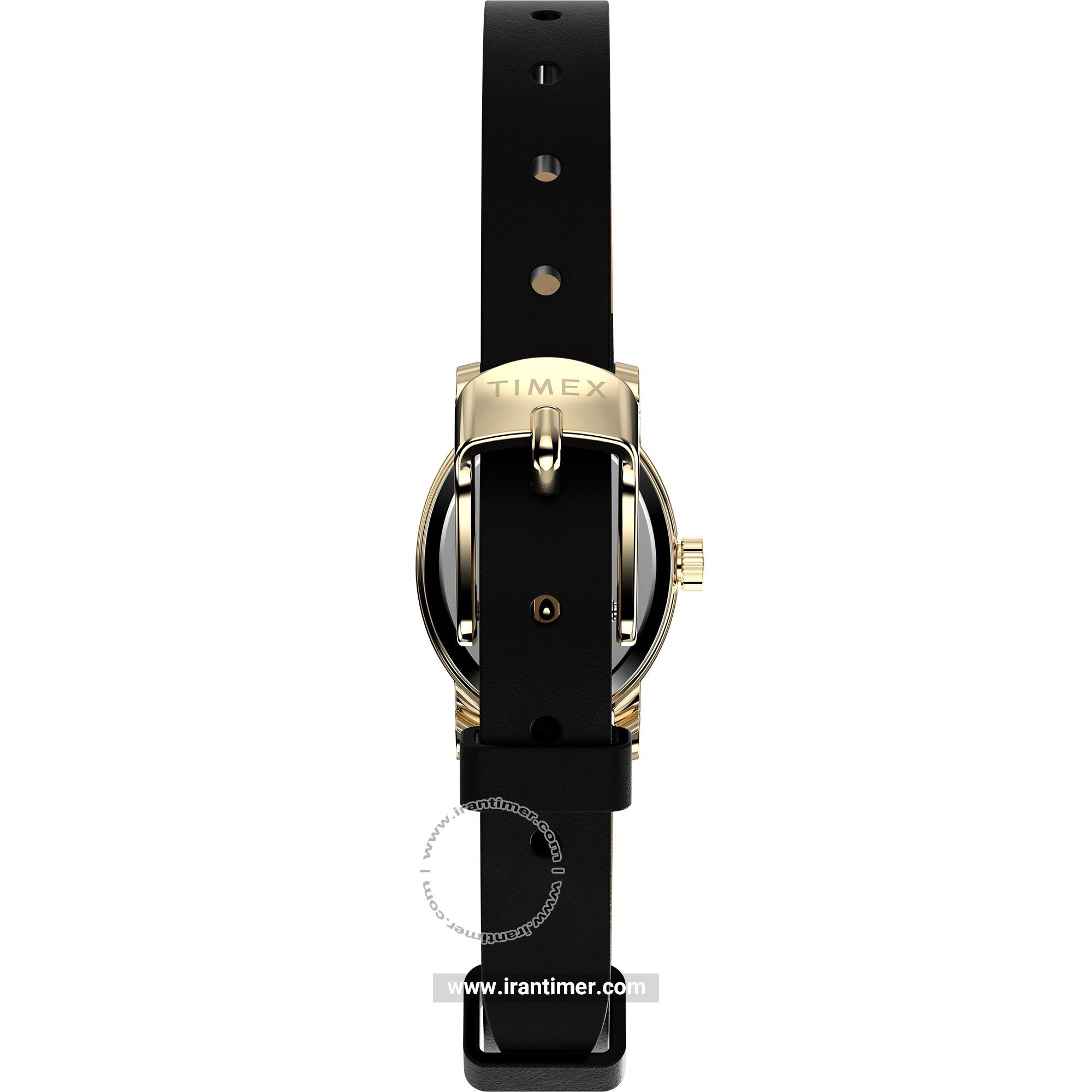 قیمت و خرید ساعت مچی زنانه تایمکس(TIMEX) مدل TW2W82600 کلاسیک | اورجینال و اصلی