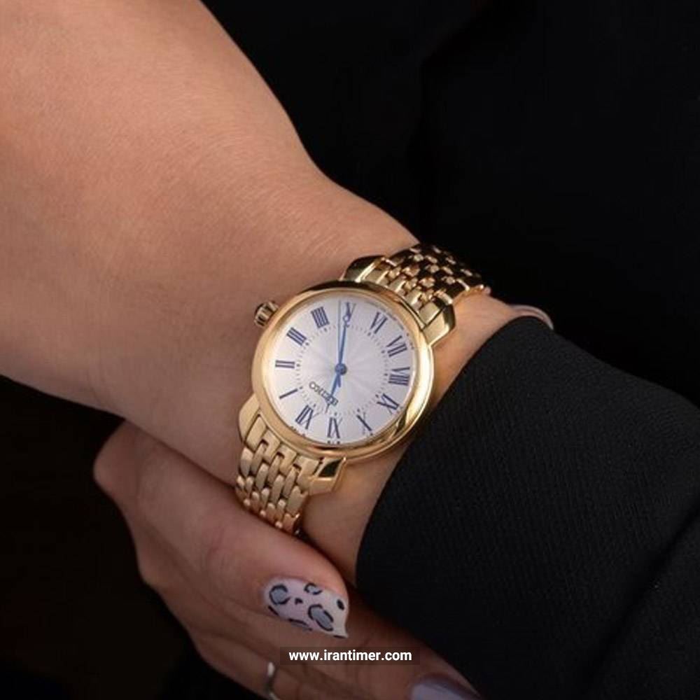 قیمت و خرید ساعت مچی زنانه سیکو(SEIKO) مدل SUR626P1 کلاسیک | اورجینال و اصلی