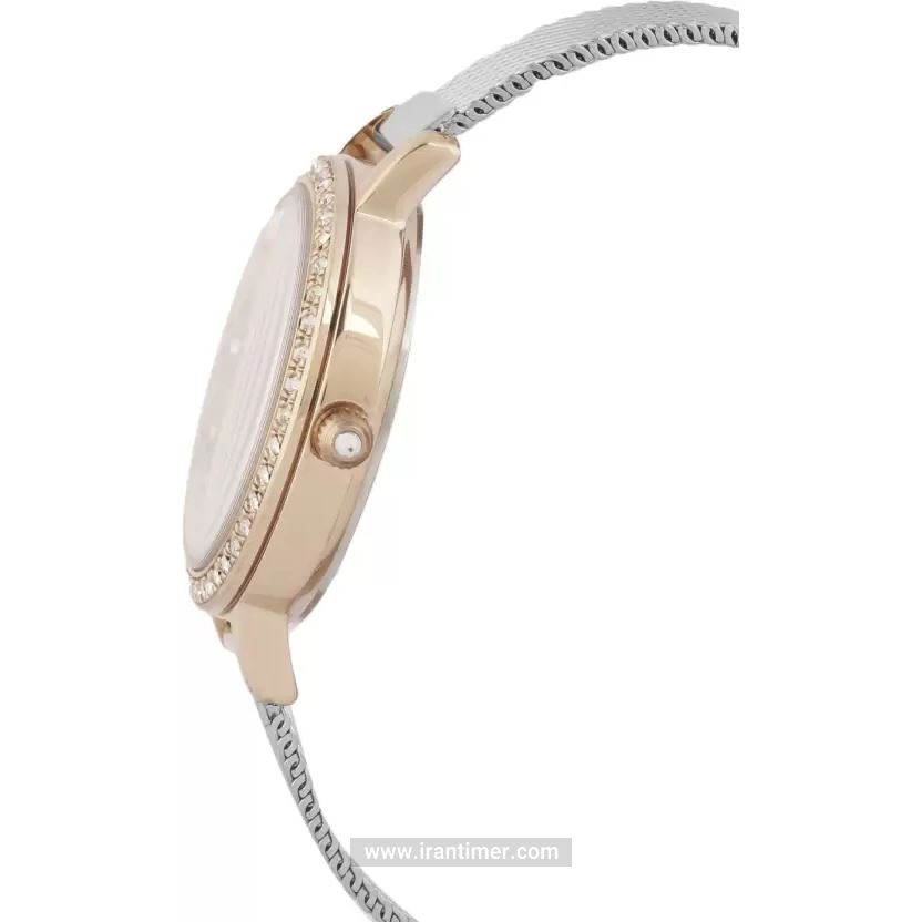 قیمت و خرید ساعت مچی زنانه دنیل کلین(Daniel Klein) مدل DK.1.12418-6 کلاسیک فشن | اورجینال و اصلی