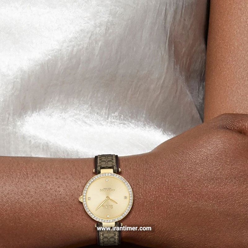 قیمت و خرید ساعت مچی زنانه کوچ(Coach) مدل 14503456 فشن | اورجینال و اصلی