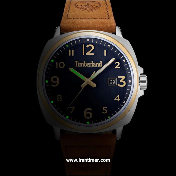 قیمت و خرید ساعت مچی مردانه تیمبرلند(TIMBERLAND) مدل TDWLB0030201 کلاسیک | اورجینال و اصلی