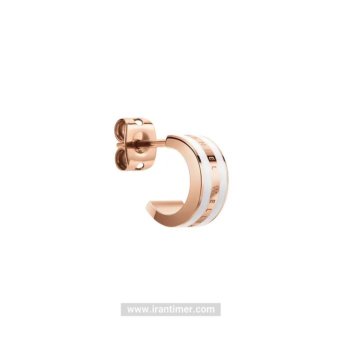 قیمت و خرید گوشواره زنانه دنیل ولینگتون(DANIEL WELLINGTON) مدل DW00400148 کلاسیک | اورجینال و اصلی