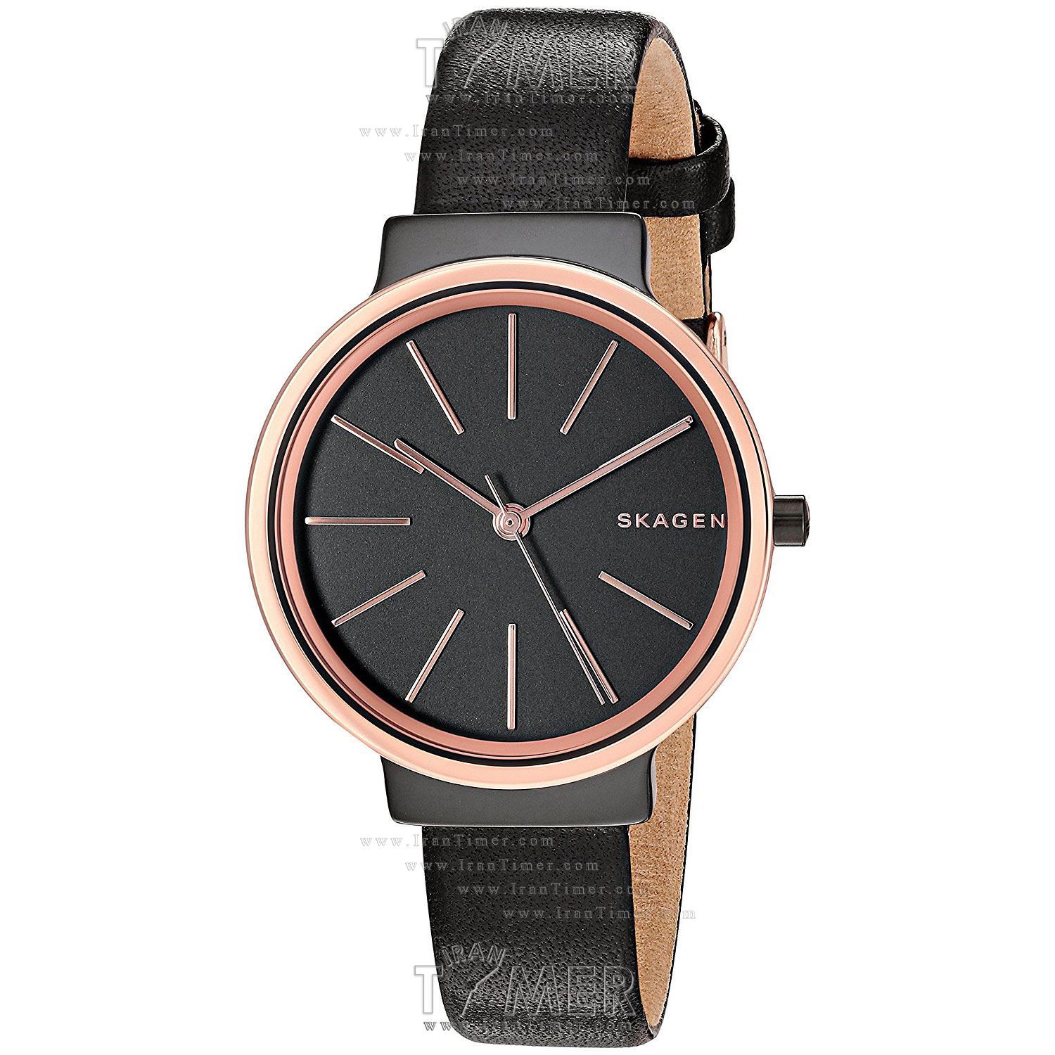 قیمت و خرید ساعت مچی زنانه اسکاگن(SKAGEN) مدل SKW2480 کلاسیک | اورجینال و اصلی