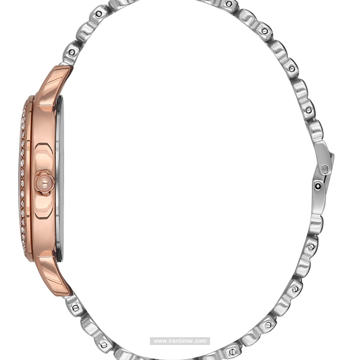 قیمت و خرید ساعت مچی زنانه دنیل کلین(Daniel Klein) مدل DK.1.12564-4 فشن | اورجینال و اصلی