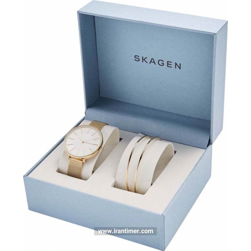 قیمت و خرید ساعت مچی زنانه اسکاگن(SKAGEN) مدل SKW1104 کلاسیک | اورجینال و اصلی