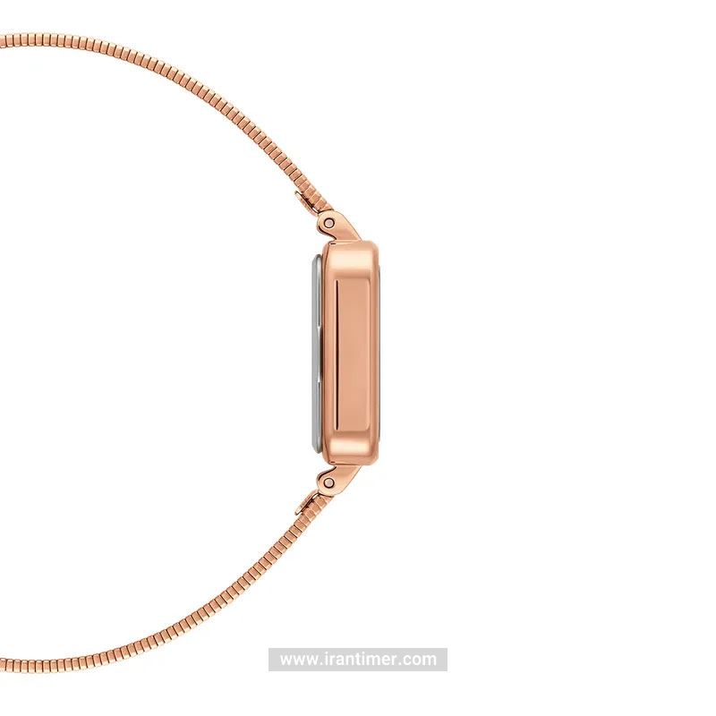 قیمت و خرید ساعت مچی زنانه دنیل ولینگتون(DANIEL WELLINGTON) مدل DW00100517 کلاسیک | اورجینال و اصلی