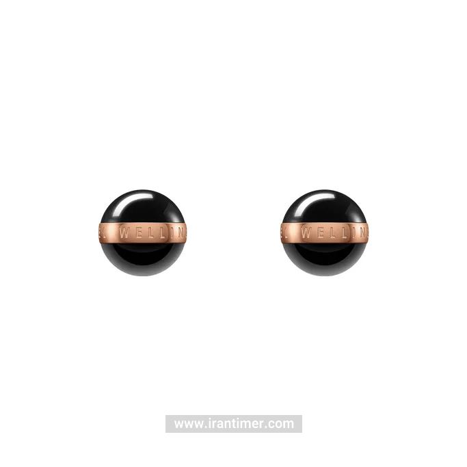 قیمت و خرید گوشواره زنانه دنیل ولینگتون(DANIEL WELLINGTON) مدل DW00400151 کلاسیک | اورجینال و اصلی