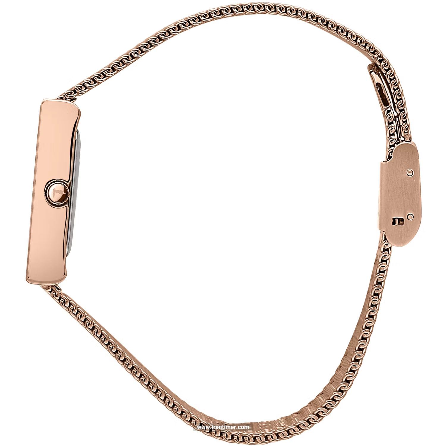 قیمت و خرید ساعت مچی زنانه تروساردی(TRUSSARDI) مدل R2453155501 کلاسیک | اورجینال و اصلی